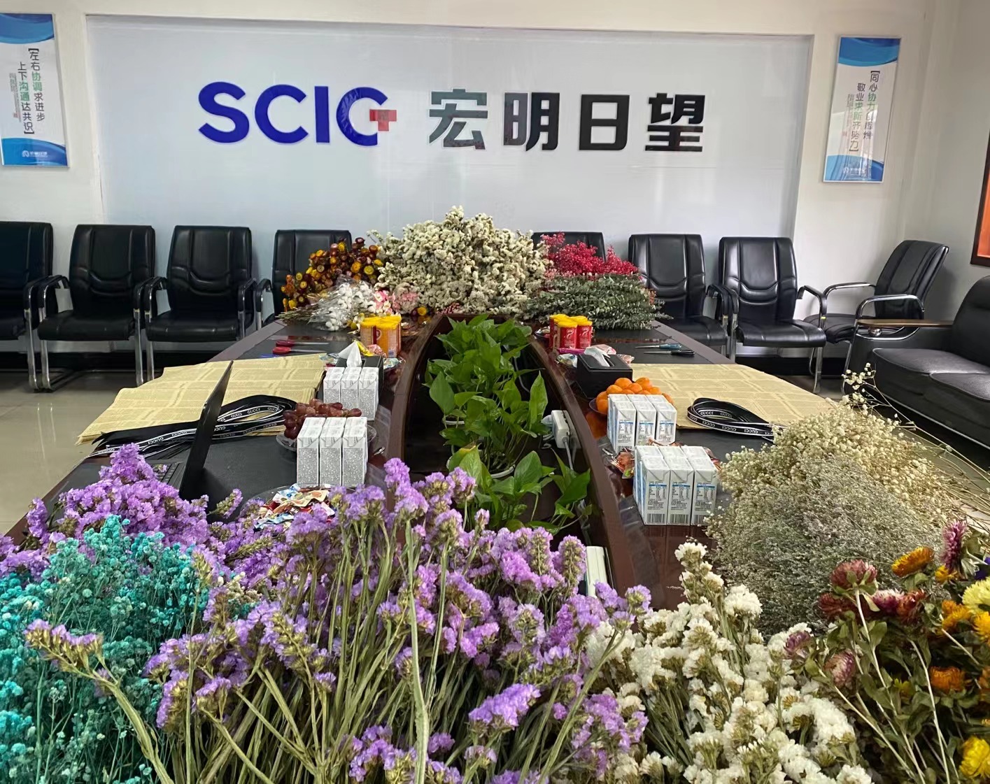 乐竞平台,宏明日望,株洲电子科技,湖南电容器,株洲电容器,电容器